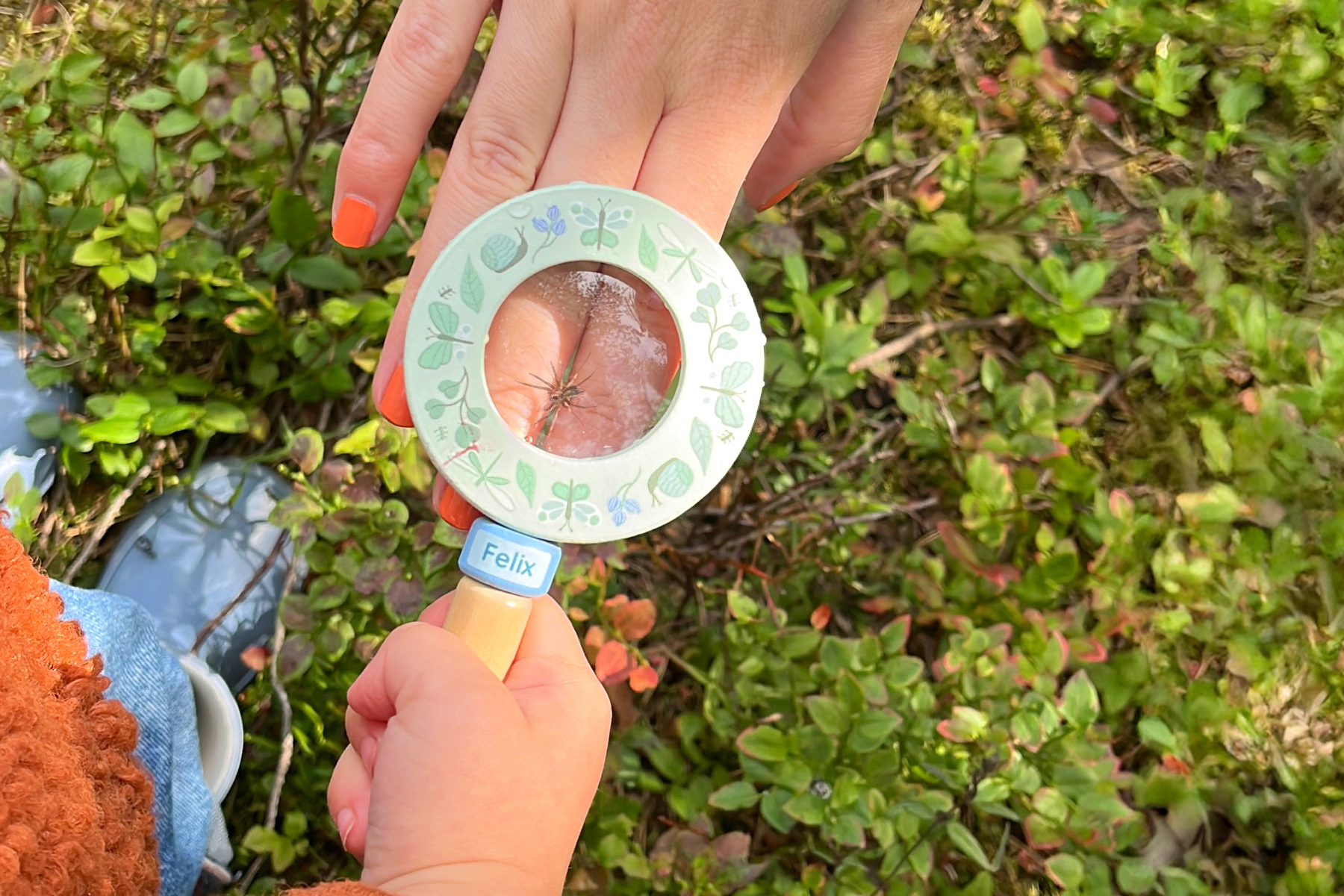 Børn kigger på skovbunden med et forstørrelsesglas 